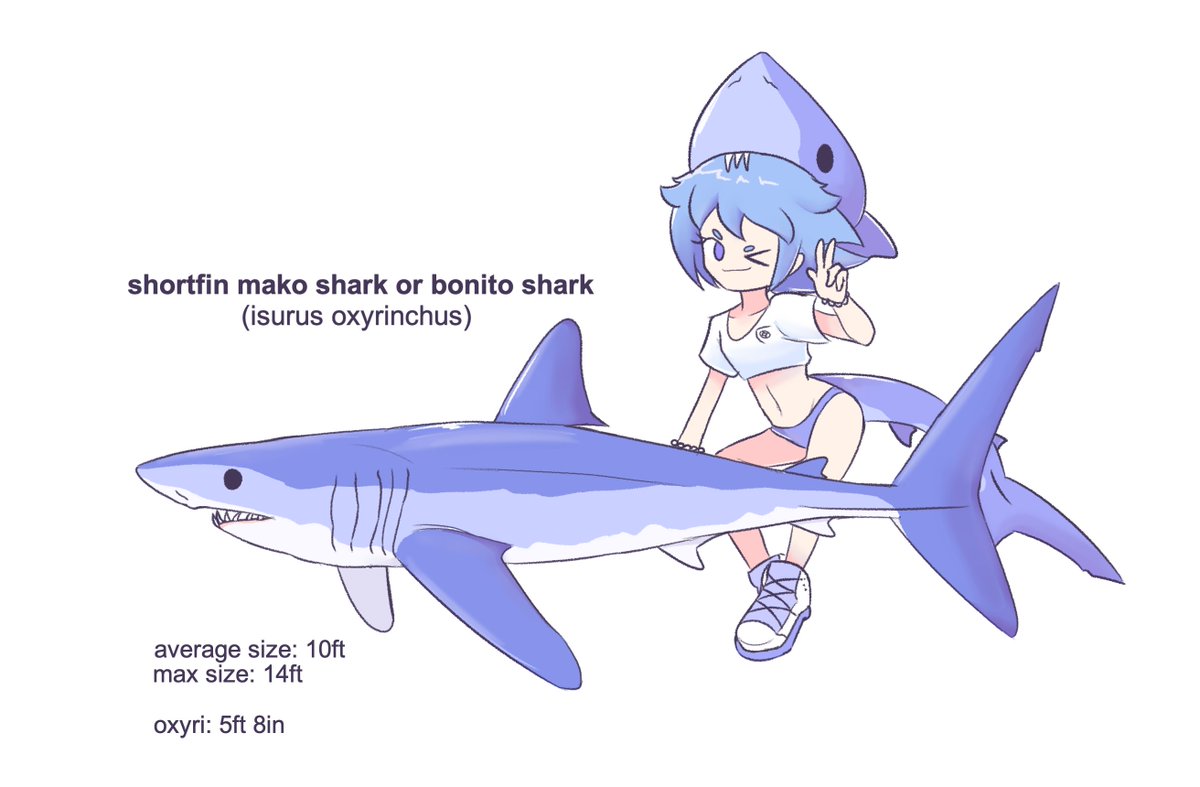 reposting this little series because, upon revisiting it, i have been having thoughts about turning this into a much more expansive guide to not only sharks, but other sea creatures too

what do you think? 