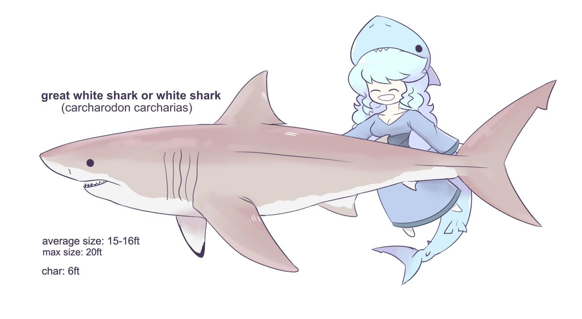 reposting this little series because, upon revisiting it, i have been having thoughts about turning this into a much more expansive guide to not only sharks, but other sea creatures too

what do you think? 