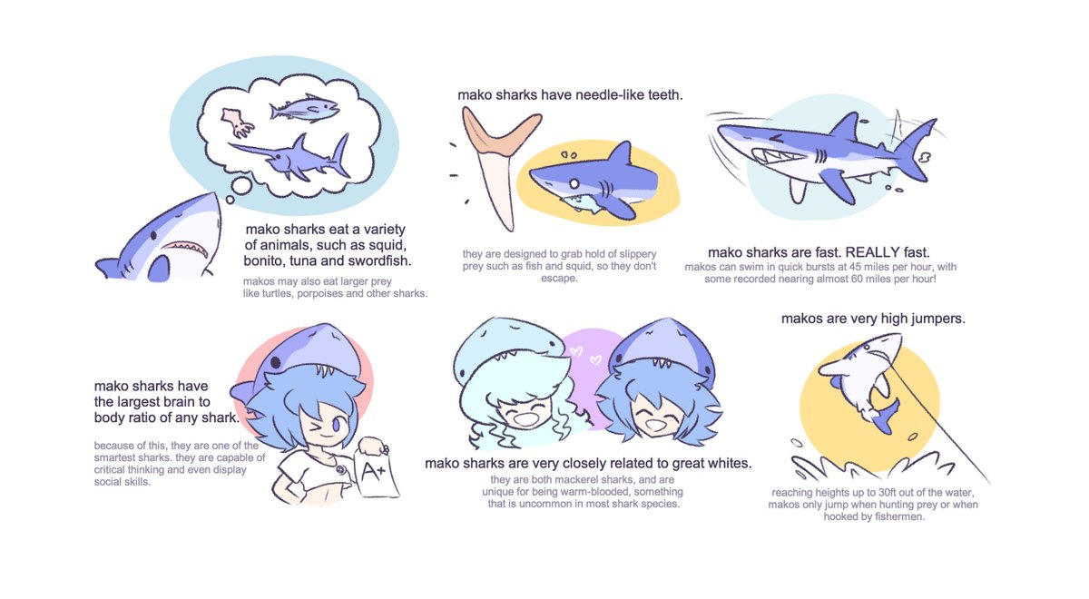 reposting this little series because, upon revisiting it, i have been having thoughts about turning this into a much more expansive guide to not only sharks, but other sea creatures too

what do you think? 