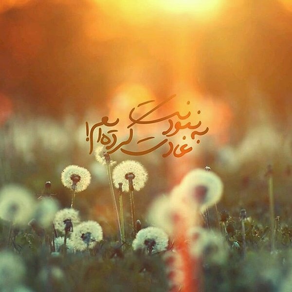 talebi400's tweet photo. تقدیم به پدر حقیقی مان امام زمان:
ای سفر کرده موعود بیا
که دلم در پی تو در به در است
جان ناقابل این چشم به راه
برگ سبزی به تو، روز پدر است
#روز_پدر
#یا_مهدی https://t.co/W5TomKnWoD