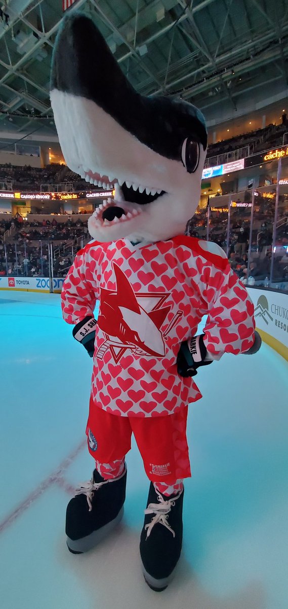 sjsharkie's tweet photo. One last #HappyValentinesDay to #SharksTerritory https://t.co/v2Qbz4rUH2