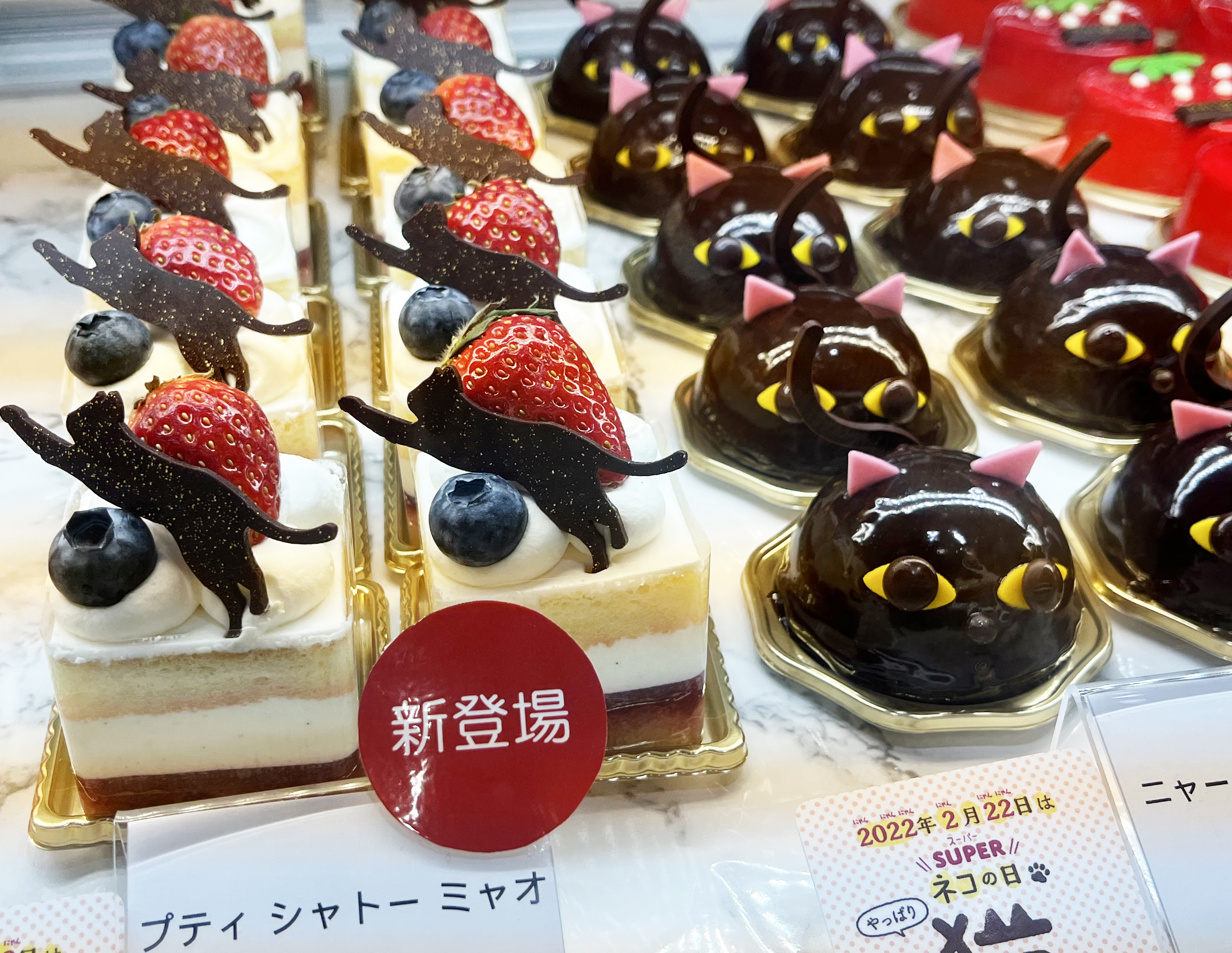 ダロワイヨジャポン公式 ジョセフィーニャを探せ Rtキャンペーン実施中 猫の日期間限定出店中 エキュート日暮里 北改札内ヒメクリにて 猫の日にちなんだダロワイヨのお店 ニャロワイヨ が ２月２７日までの期間限定で出店しています