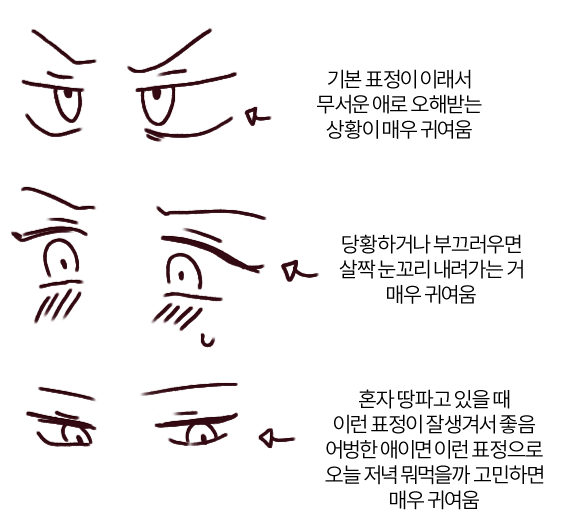 고양이 눈이 좋아요 탐라들 다 알아줘요