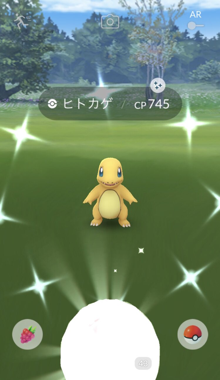 ぱぴぷぺぽけもん Lets Pokekatsu Twitter