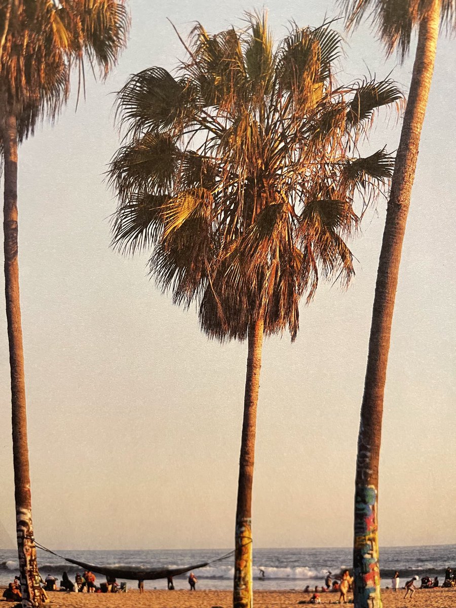 realMGranlund's tweet photo. A pic of California! It’s dark outside so had to use one from a coffee table book. https://t.co/q0em5CjCqK