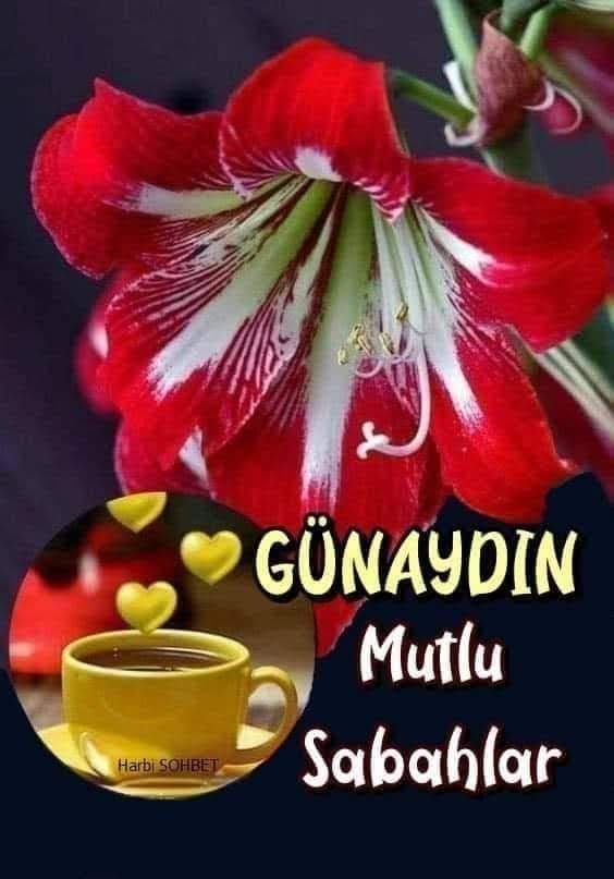 lavantam35's tweet photo. Mevsim kış olsada yüreğiniz bahar olsun gün güzellikler getirsin .Günaydın dostlar https://t.co/hhgrEH2T7d