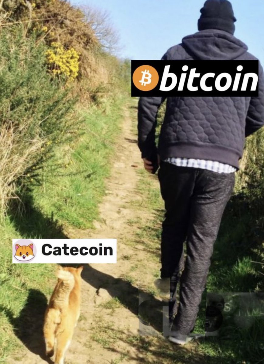 Trader4lyf's tweet photo. Where #Bitcoin goes our #Lowcapgem 👉 #catecoin merely follows

It’s kinda stupid to be be dumping #CATE without an idea where #Bitcoin is headed few months forward, Mania Phase et al. https://t.co/Tg24pEUtfL