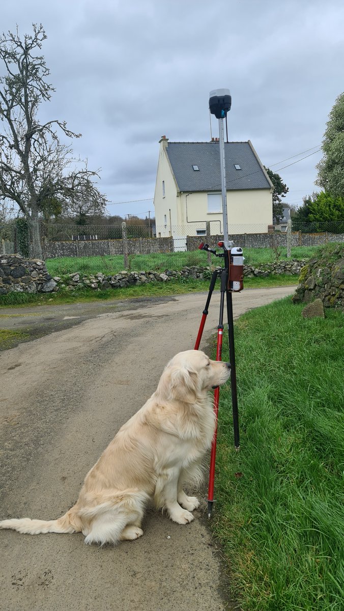 BreizhMapping tweet media