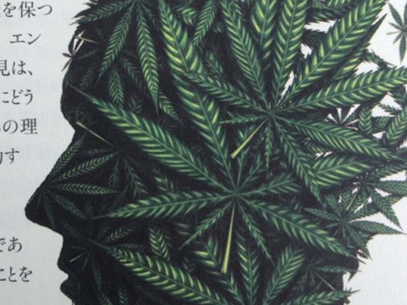 manana_kkkane's tweet image. 僕が読んだCBD関連の書籍、今回は #CBDエッセンシャルガイド #マニャーナ #CBDDispensary を名乗るからには 日々勉強の毎日 #キセキアタリマエ の #CBD の効能の素晴らしさに感動、感心するものの 大麻先進国アメリカの情報を見ていると、日本ではNGなTHCの同時接種の必要性も感じます、HHCでなんとか