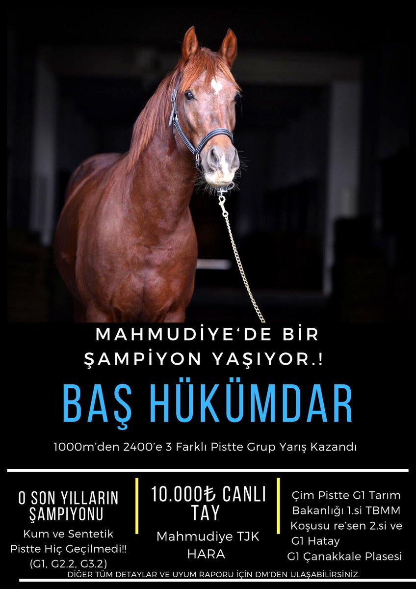 2022 Yılı Aşım Sezonu Başladı Değerli Yetiştiricilerimize Hayırlı Olmasını Diliyorum.ŞAMPİYON BAŞ HÜKÜMDAR Yalnızca 10.000₺ Yetiştirici Dostu Bedelle Mahmudiye Pansiyon Hara’da.Sizde Şampiyon Bir Tay’a Sahip Olmak İstiyorsanız,Çok Düşünmenize Gerek Yok Baş Hükümdarı Tercih edin.