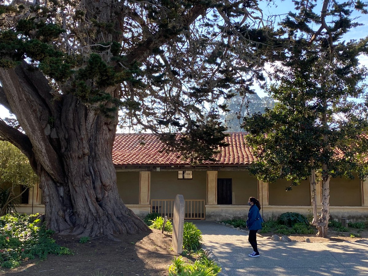 Notre Dame-California tweet media