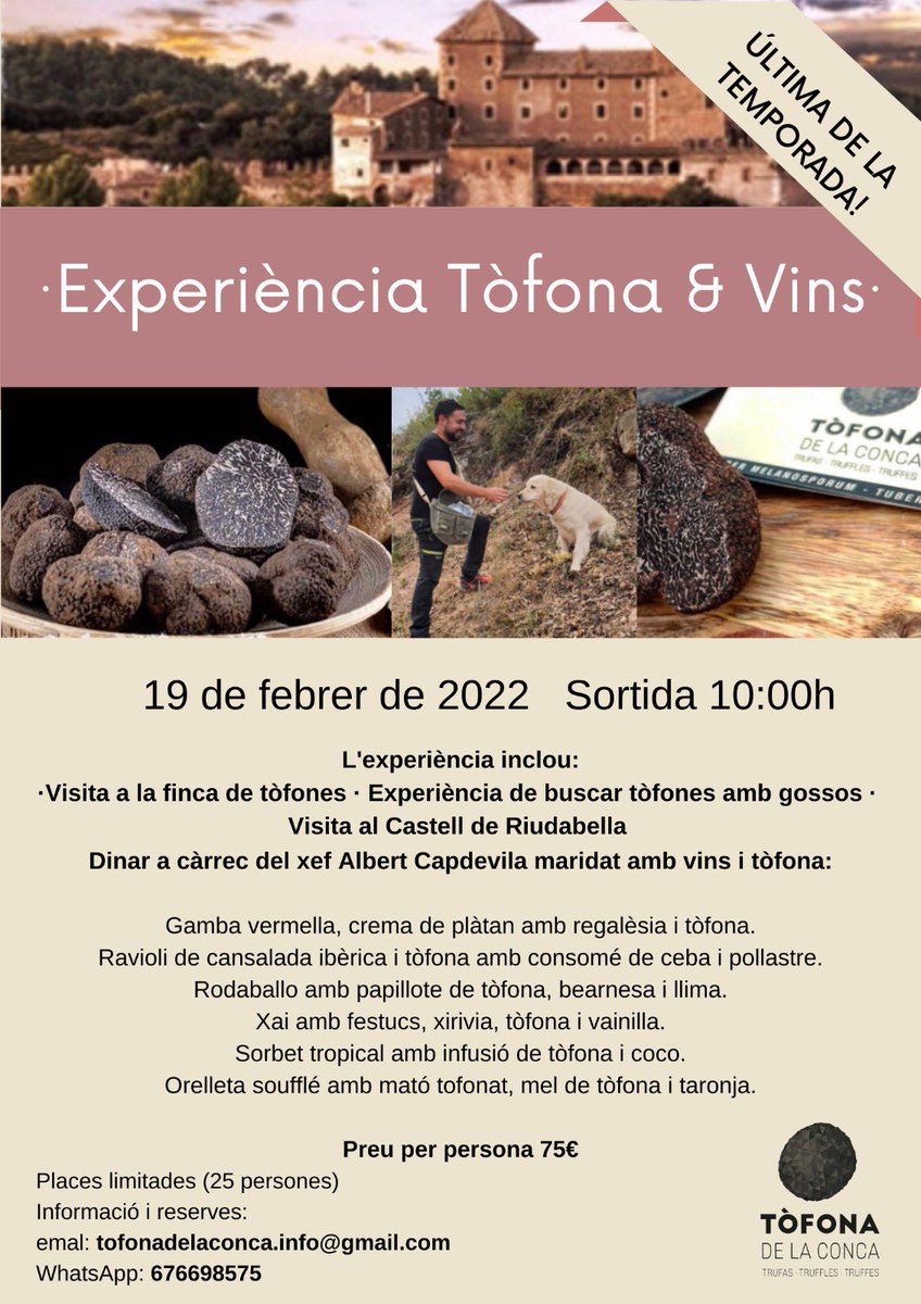Apunta't a l'última experiència de vins i tòfona de la temporada!  #turisme #tofona #trufiturismo #turismo #trufanegra #trufa #trufanegra #riudabella #cuinacatalana