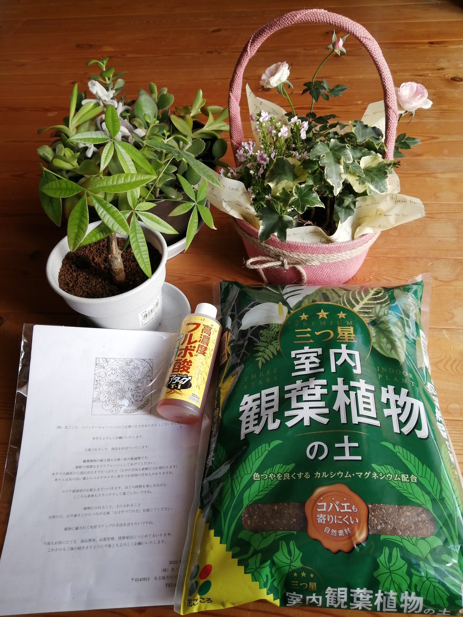 激安セール 花ごころ 観葉植物の土 5l Cmdb Md