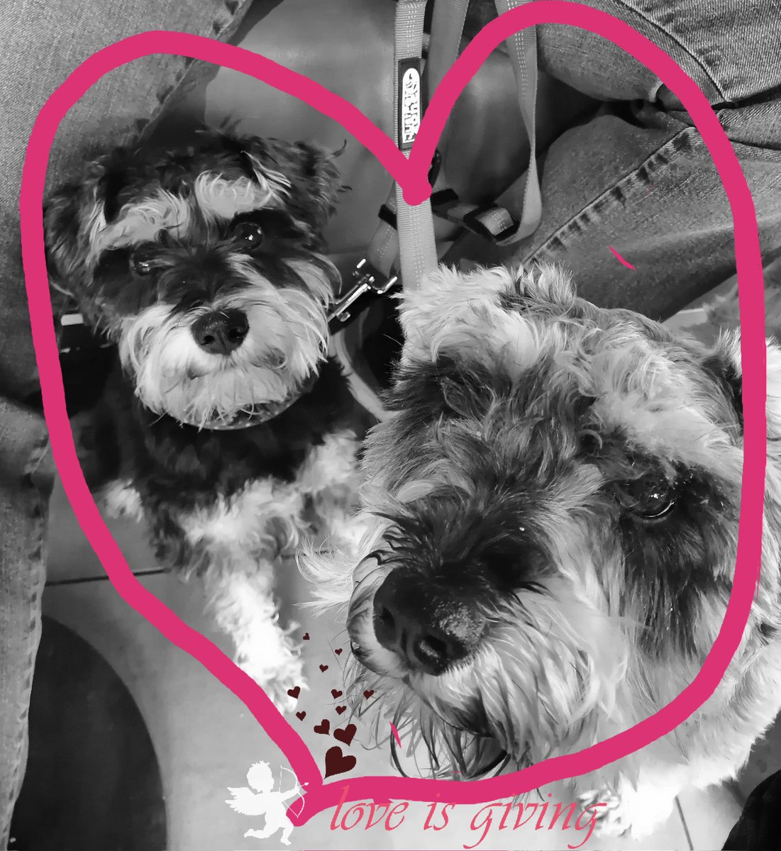 Better late than never. We luvs you pals ❤️❤️❤️❤️❤️❤️❤️❤️❤️