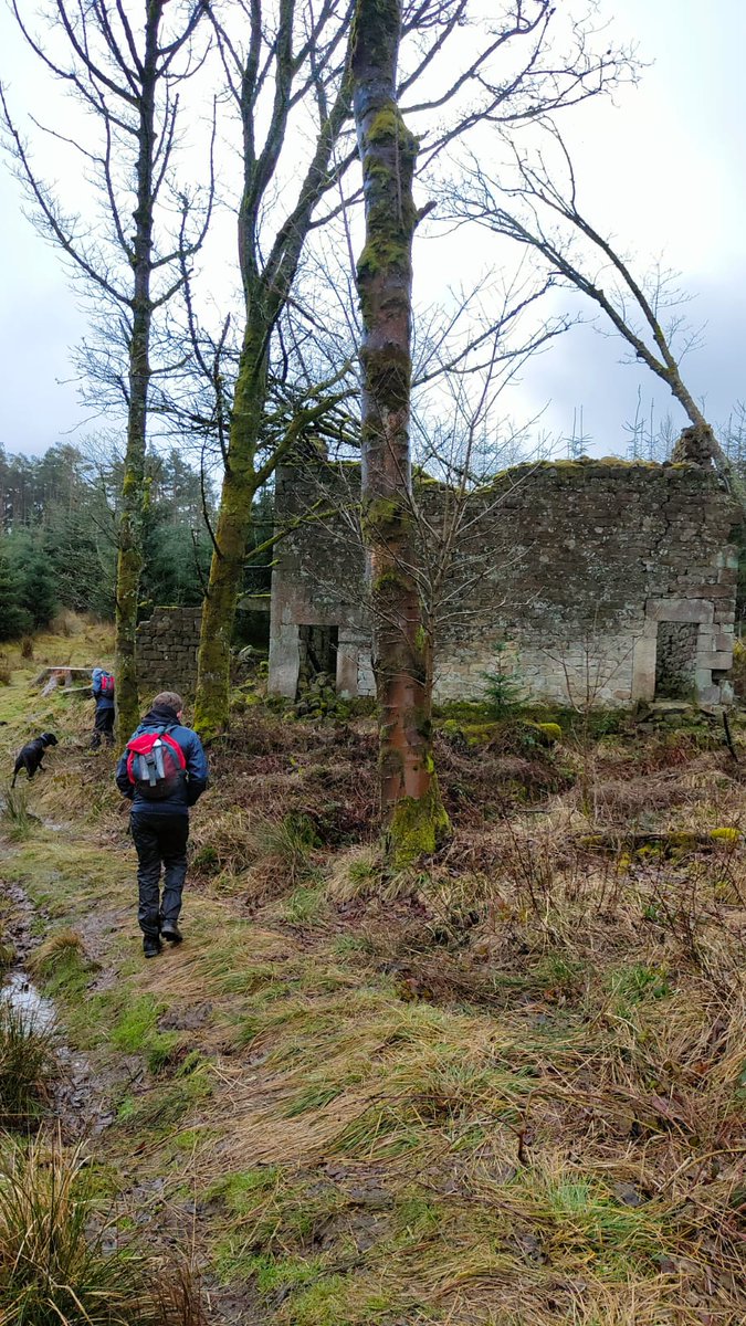 Summit Outdoor Motivation tweet media