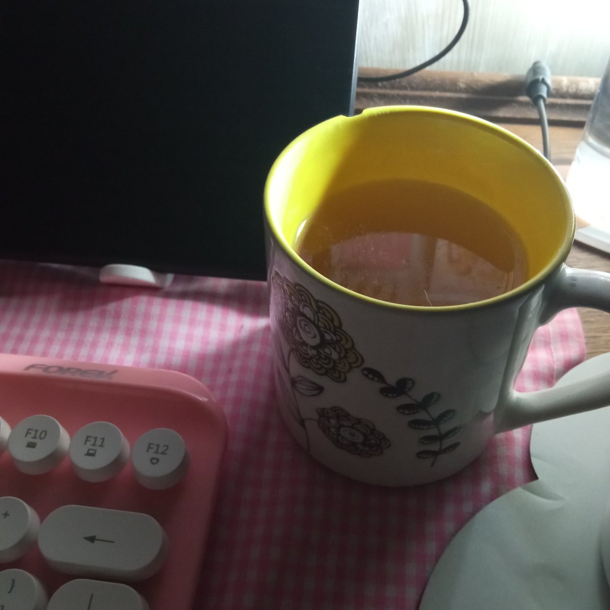 stationerin's tweet photo. 🗯️ — wasn't able to do a lot today because of menstrual cramps.. maybe I'll just cram my unchecked stuffs tomorrow.. goodluck to me 🥲 i guess it's fine to take a little break and just.. have a reset-ish day tomorrow..

also, day 3 with #rosewithyou !!!

#studytwt #studyspo 🌷 https://t.co/iGENCqrq5t