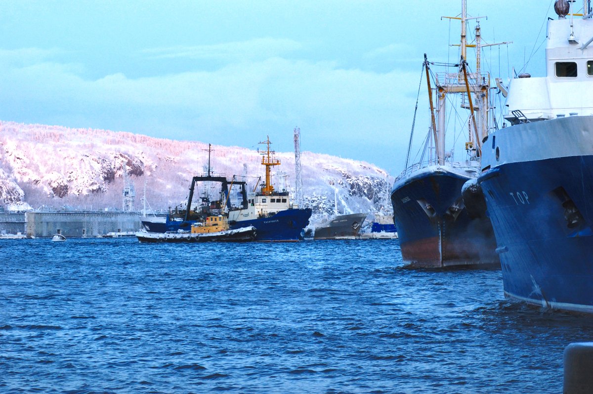 FishPort51's tweet image. И все-таки, когда на одном фото появляются природа, море и флот, оно автоматически становится прекрасным 📷
А как считаете вы? ❓
Мурманский морской рыбный порт ⚓ желает всем легкого четверга! 
-
#Мурманск #природа #море