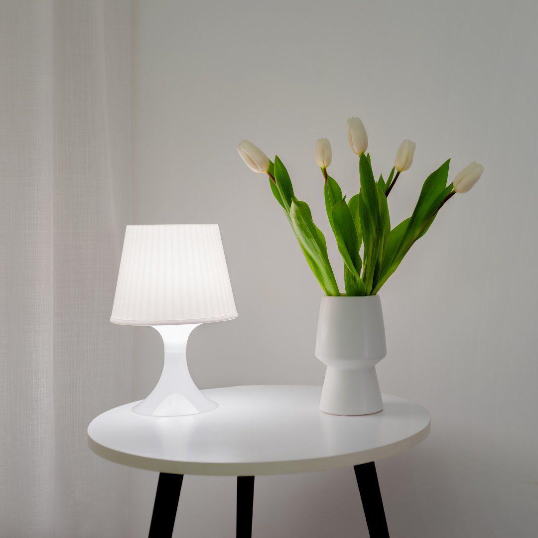 ModernInDesigns's tweet photo. Classic tulip table lamp, with stylish stainless steel shade which is made up of aluminum base. This lamp provides general room lighting.

Shop now: https://t.co/RXA1eQKMPI 

#furniture #modernfurniture #eggchair #chairs #leatherchair #interior #modernchairs #blackchair #mode ... https://t.co/NWpX7shn4O