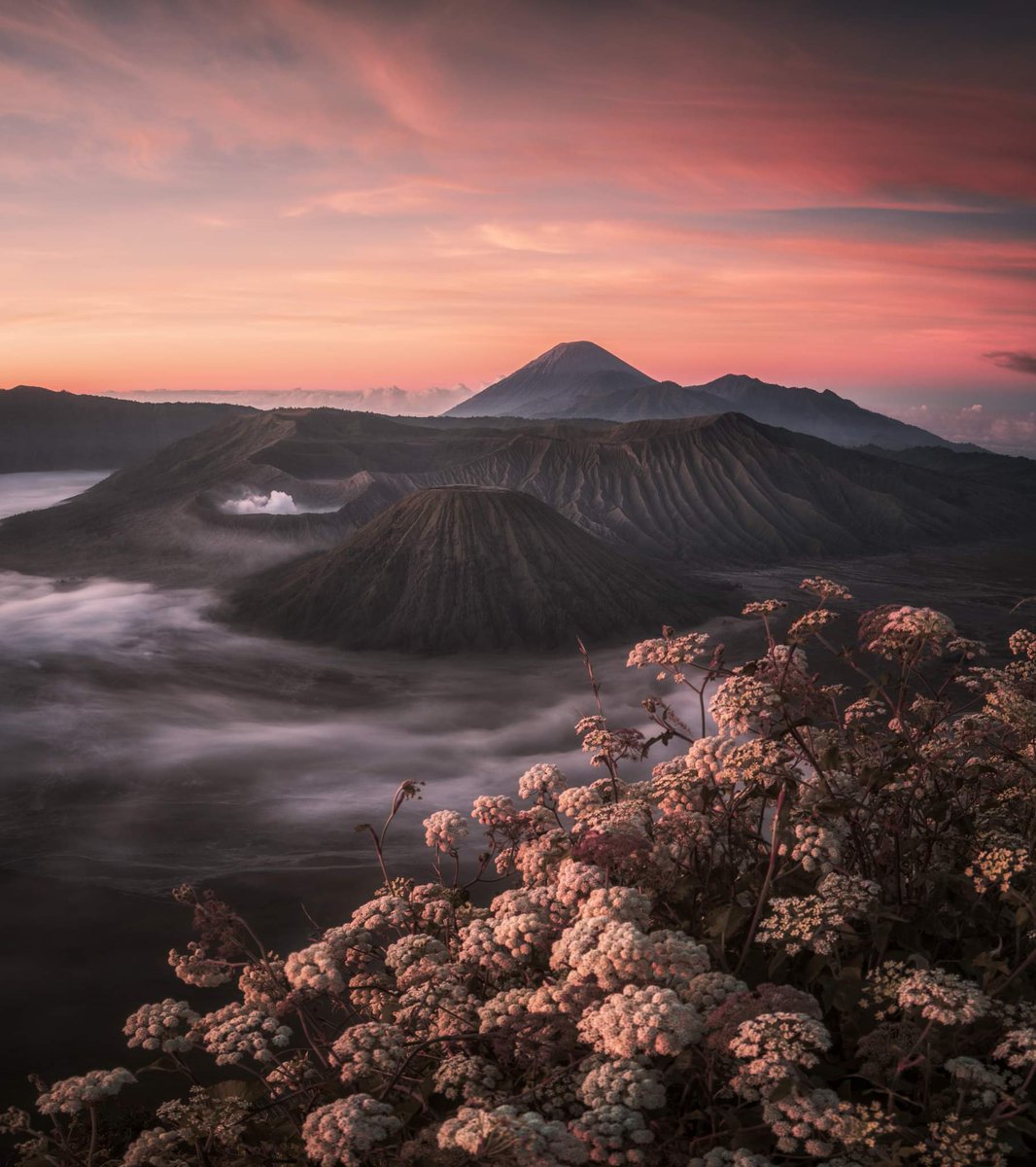 <a href="/danielvgphoto/">Daniel Viñé</a> Gm Daniel! Stunning piece you got there ser! I have this at the moment.