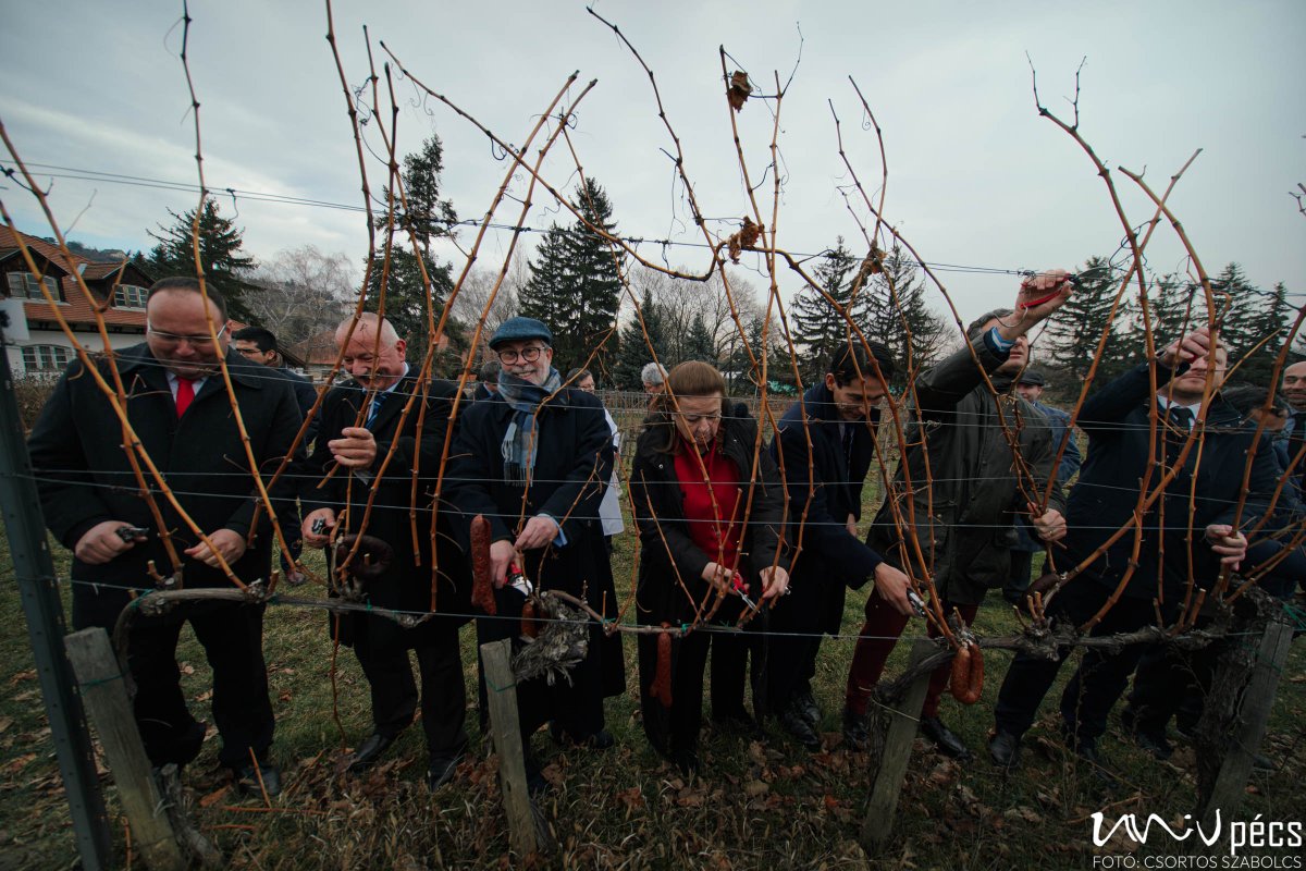 Ambassadors of Chile, Colombia, Mexico and Peru to Hungary visited the unique ⚜️ Research Institute of Viticulture and Oenology, UP 🎓 in the framework of a workshop. 🍇🍷👉 
international.pte.hu/news/latin-ame…
