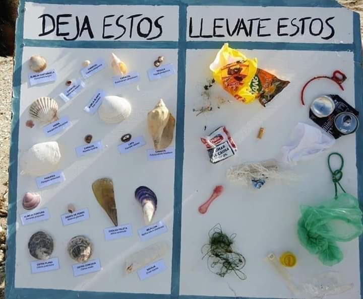 nedd_denblanny's tweet photo. #Cancun #MedioAmbiente @Danielita_Ce @bghcancun @XiomyGCaceres @pbperito @P_xculin @MadreSemestrosa Y si circulamos esto para que los turistas nacionales y extranjeros nos ayuden? #CuidatuMundo @CancunSOS @Pitufogrunion_ @Tiendas_OXXO https://t.co/4bP3vqDLXp