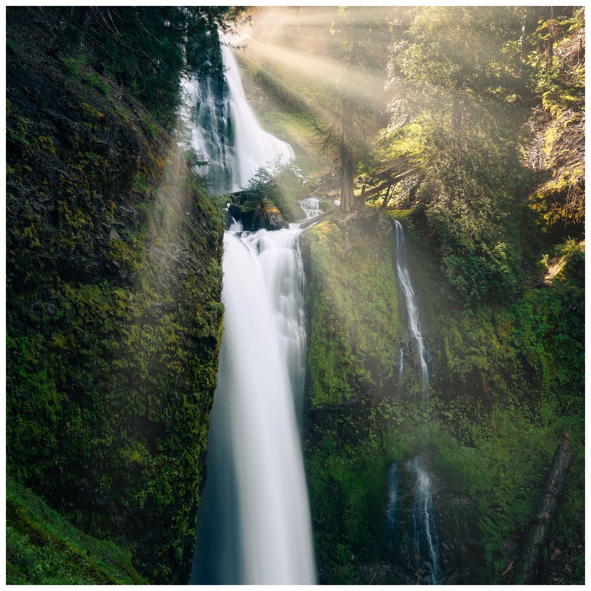 Falls Creek Falls

#11 of 100 in my NFT collection - #100waterfalls

#NFT #nftproject #nftcommunity #nftphotography @opensea #nftcollector #photography #giffordpinchot #fallscreek