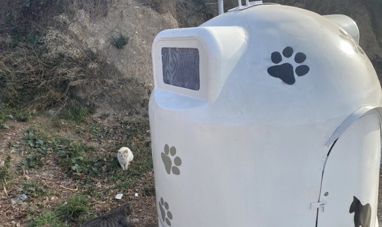 Vila de Piera tweet media