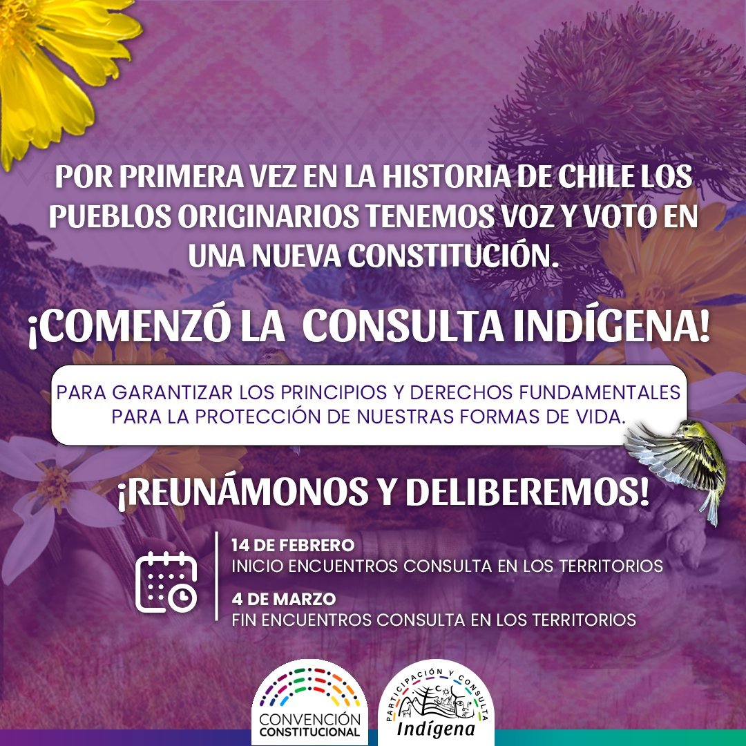 Atentos👀. Comenzó la #ConsultaIndígena para garantizar principios y derechos fundamentales de su forma de vida. Desde el 14 de febrero hasta el 4 de marzo. Más información aquí plataforma.chileconvencion.cl/m/consulta_ind……