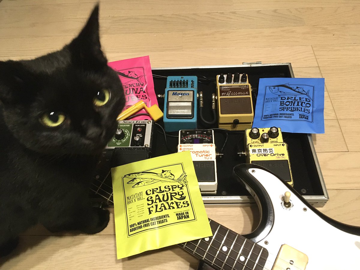 matatabi_garage's tweet image. #三年坂ねこフェス2022

2月16日（水）～27日 （日）11〜19時
蔦屋書店熊本三年坂地下1階イベントスペース(最終日17:00)

MATATABI GARAGEではギター型おもちゃ、アンプ型爪とぎなどに加え、本物のギターピックを使った新作のピンバッジも発売します！ぜひお越しください😸🎸

#またたびロックンロール