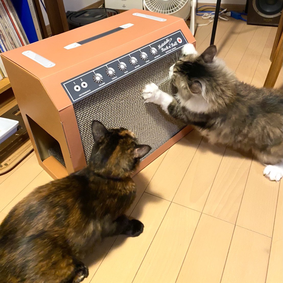 matatabi_garage's tweet image. #三年坂ねこフェス2022

2月16日（水）～27日 （日）11〜19時
蔦屋書店熊本三年坂地下1階イベントスペース(最終日17:00)

MATATABI GARAGEではギター型おもちゃ、アンプ型爪とぎなどに加え、本物のギターピックを使った新作のピンバッジも発売します！ぜひお越しください😸🎸

#またたびロックンロール