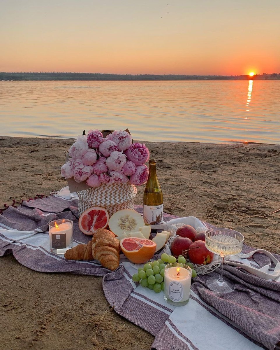 Picnic 🧺 mood
