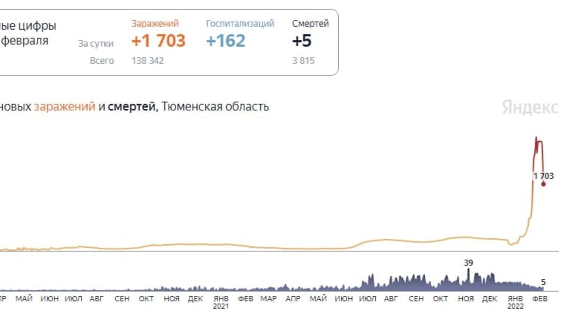 Статистика тюмень сайт