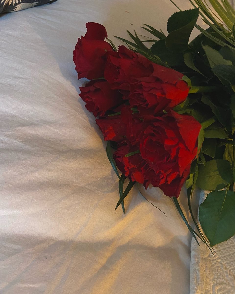 mathildpdersen's tweet photo. red roses 🌹 https://t.co/vO5ckD659v