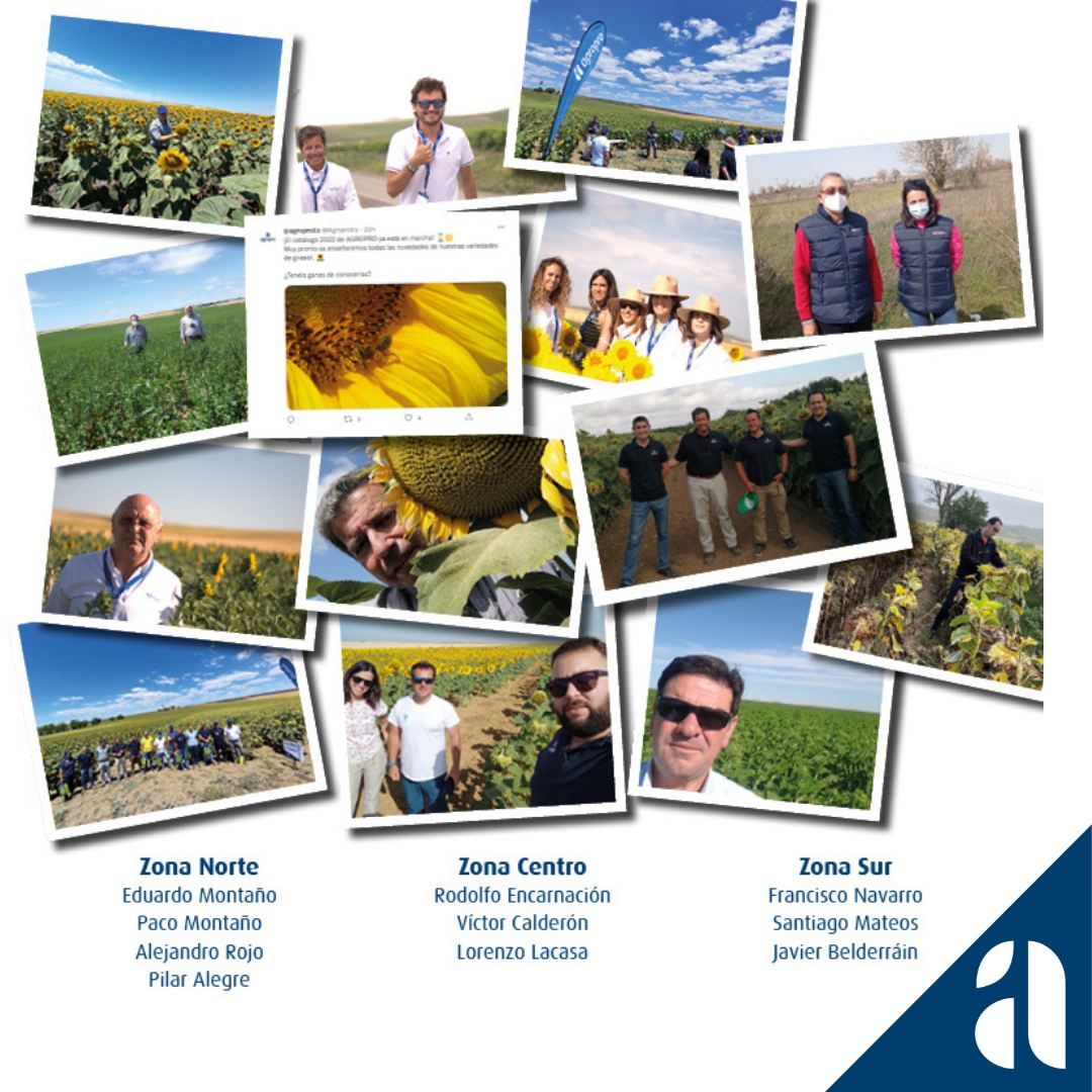 AgroproEs's tweet photo. Conoce quién está detrás de Agropro.
Tenemos un equipo en la Zona Sur, Zona Centro y
Zona Norte.

Gracias a todos ellos por formar parte de Agropro!
👏👏 https://t.co/7hlZviv3LX