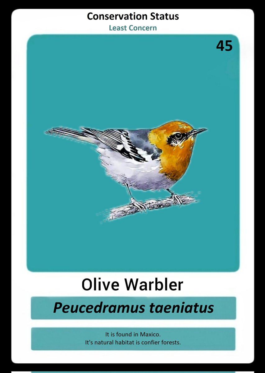 Interesting facts about the Olive Warbler

The olive warbler is a bird species endemic to North America. 
There are 1,900,000 mature individuals of the olive warbler bird species in the world.

Grab as many as you can here 👉ab2.gallery/asset/594504306

#NFT #NFTs #KaafilaNFT