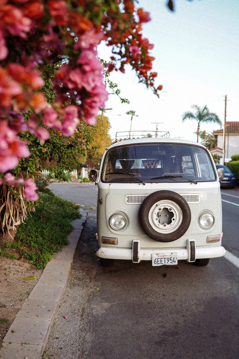 womensvancoll's tweet photo. Spring is our favourite month 🌸🌺 What’s your favourite season? https://t.co/CekADz8RB1