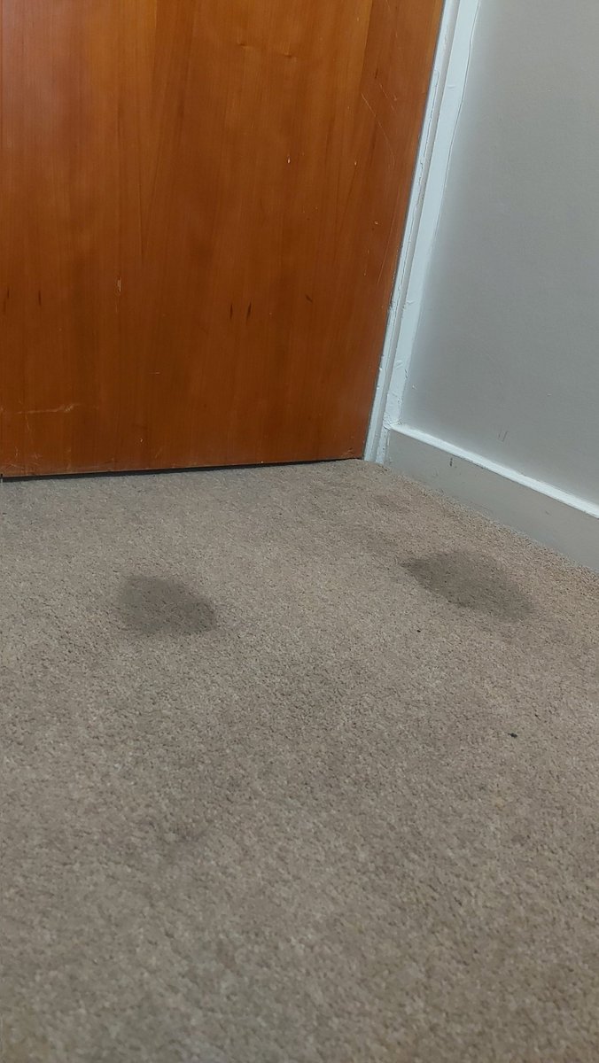 Good morning, from <a href="/TravelodgeUK/">Travelodge UK</a> Brighton. I mean, there is a saver deal, and then there is this. Not the most 'romantic' getaway. #ValenGrimesDay