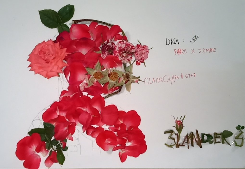 Zombie#6758 tweet media