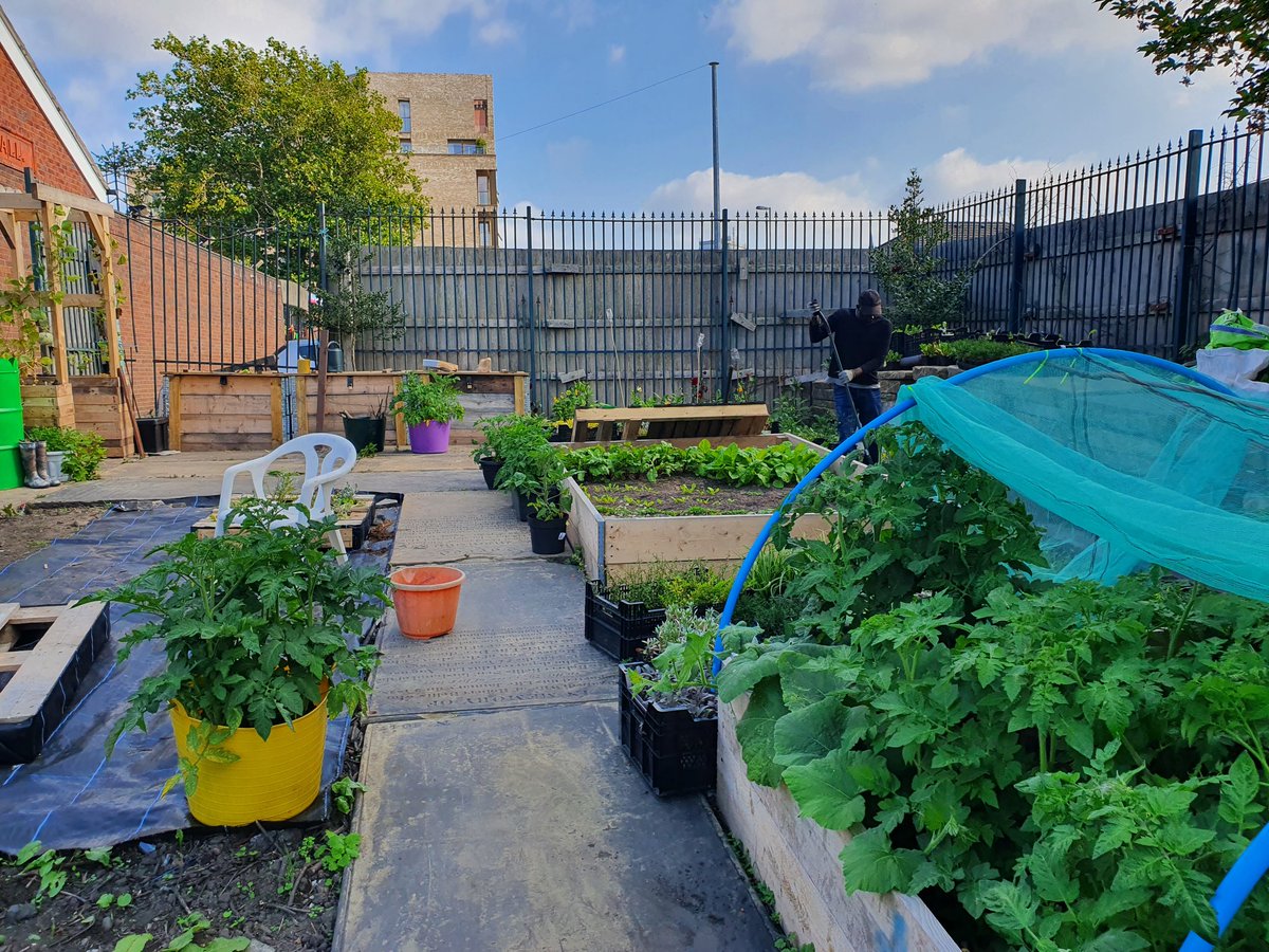 Still spaces in our young people's growing group starting back up this Thursday 4.30pm! 1st up is big garden tidy up so we can start growing our own food! 🌱Details below🌱
#gyowithlindas #growyerown <a href="/LindaFoods/">Linda McCartney Foods</a> <a href="/FoodBank_MYA/">MYA Youth Food Bank</a> <a href="/COLCollege/">The City of Liverpool College</a> <a href="/balticcreative/">Baltic Creative CIC</a> <a href="/FarmUrbanUK/">Farm Urban</a> <a href="/KimJohnsonMP/">Kim Johnson</a>