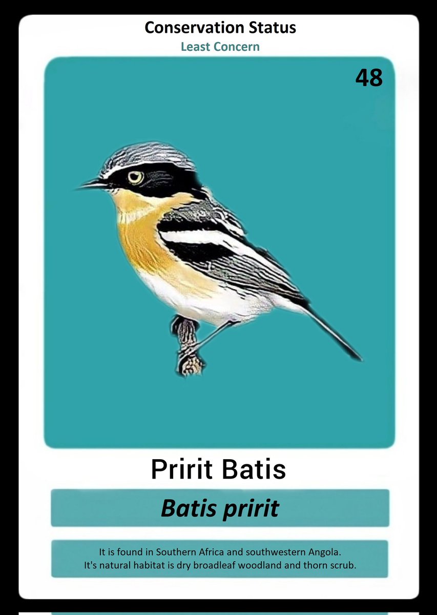 Interesting facts about Pririt Batis

It is resident in western and central southern Africa.
It is a small stout insect-eating bird.
The nest is a small neat cup low in a tree or bush.

Grab as many as you can here 👉 ab2.gallery/asset/594498851

#NFT #NFTs #KaafilaNFT
