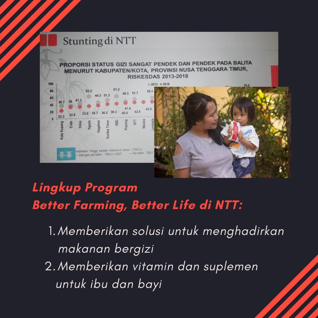 Program better Farming, Better Life berfokus berikan vitamin dan suplemen untuk Ibu dan Bayi

#AyoLawanStunting