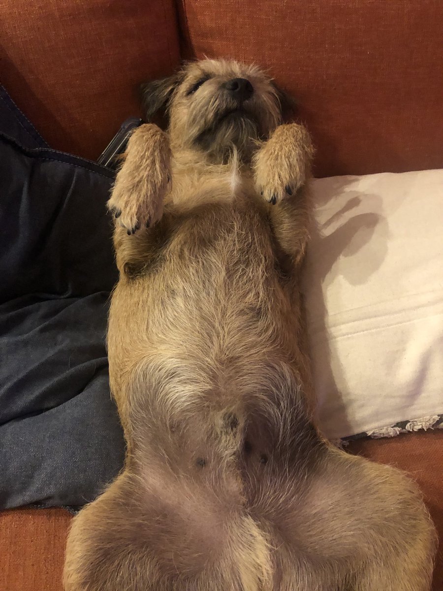 Just relaxin’ after a tough day.