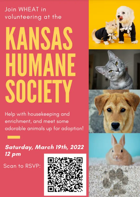 Looking for a study break? Join Honors students volunteering at the Kansas Humane Society on March 19th at noon!