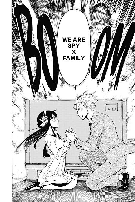 Meme material ( title : spyxfamily ) : r/manga