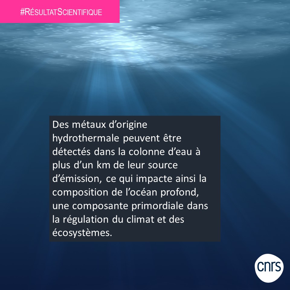 CNRS_INSU's tweet photo. #RésultatScientifique
Quels sont les effets potentiels d’une exploitation minière sur l’état de santé des océans ? 🌊
Pour en savoir plus ⤵️
https://t.co/HdDnF2jOVz https://t.co/qMczqY8b4F