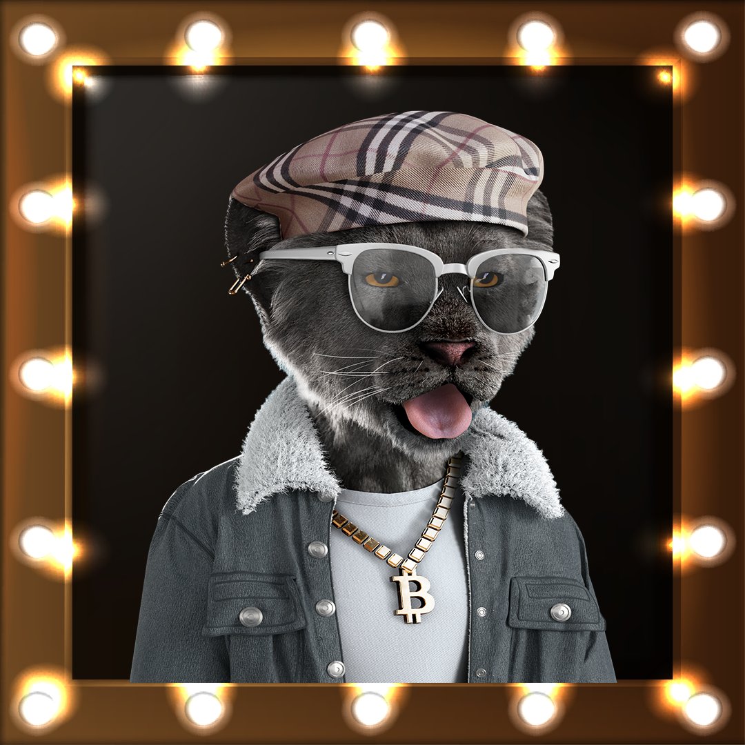 TheRoyalCubs's tweet photo. Cubs on the Runway?👠👠

Many of you discussed a partnership 🤝with a fashion brand for some real-world merch.
We loved the idea and will curate a collab with a global label! 🦁

If you could choose a clothing label to dress your cub, which one would you choose? 

Comments ⬇️⬇️ https://t.co/KZnNu6YhXe