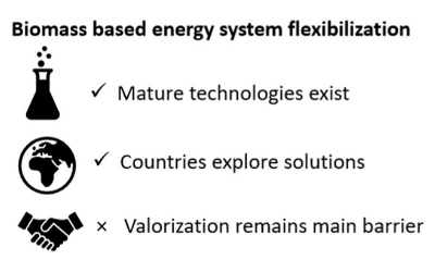This paper by IEA Bioenergy Task 44 (Flexible #bioenergy) explores the current status of bioenergy flexibility, drawing on recent questionnaire data gathered in the IEA Bioenergy TCP to provide a technological and deployment status review for 11 countries.
bit.ly/33leDZq
