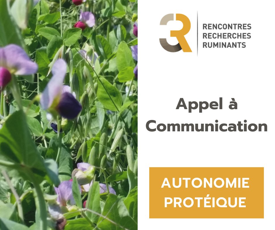 rencontres recherche ruminants