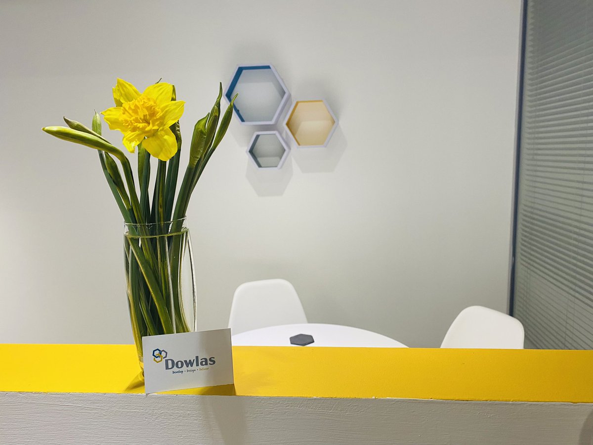 A dreary day here in Somerset made a little brighter by these yellow daffodils. Feeling glad that I am able to spend today inside at Dowlas Property Group Ltd HQ <a href="/mattdtyler/">Matt Tyler</a> drew the short straw out on site today in the rain! ☔

#teamworkmakesthedreamwork #smug #daffodils