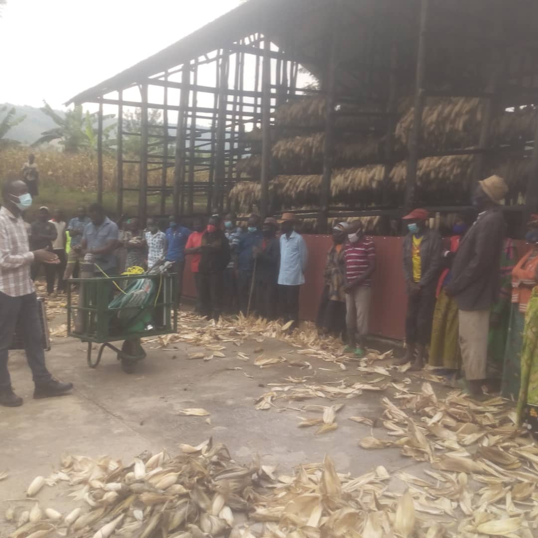 RadioNyagatare's tweet photo. #AMAKURU

Mu gutangiza icyumweru cy'ubuhinzi n'ubworozi i @GatsiboDistrict, abaturage basabwe gufata neza umusaruro, kwitegura neza season 2022 B no kwitabira kuhira imyaka aho bishoboka. Iki Cyumweru cyatangirijwe mu gishanga cya Kagogo gihuza Imirenge ya Gasange na Muhura. https://t.co/mBf2FtfLiY